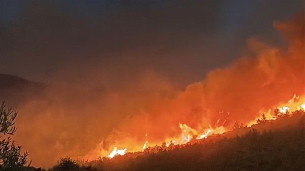 Milas'taki Orman Yangını 2. Gününde! Bin 120 Kişi Bölgeden Tahliye Edildi
